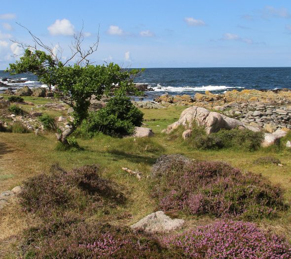 vue depuis une île