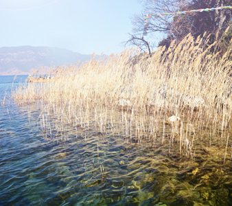 Un paisaje de la Costa de Ópalo