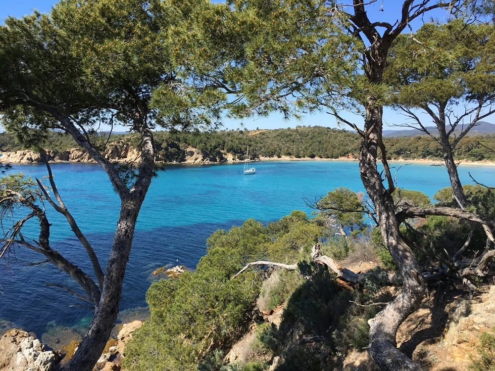 paysage du var