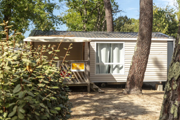Le Ried - IRM | LOGGIA 2 | 2018