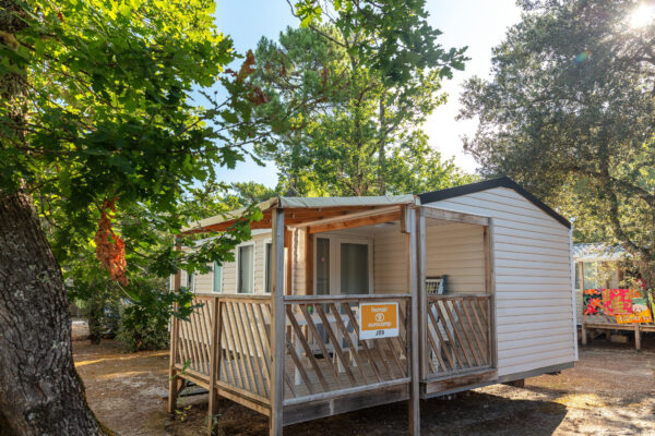 Soleil des Landes - IRM | LOGGIA 3 | 2019